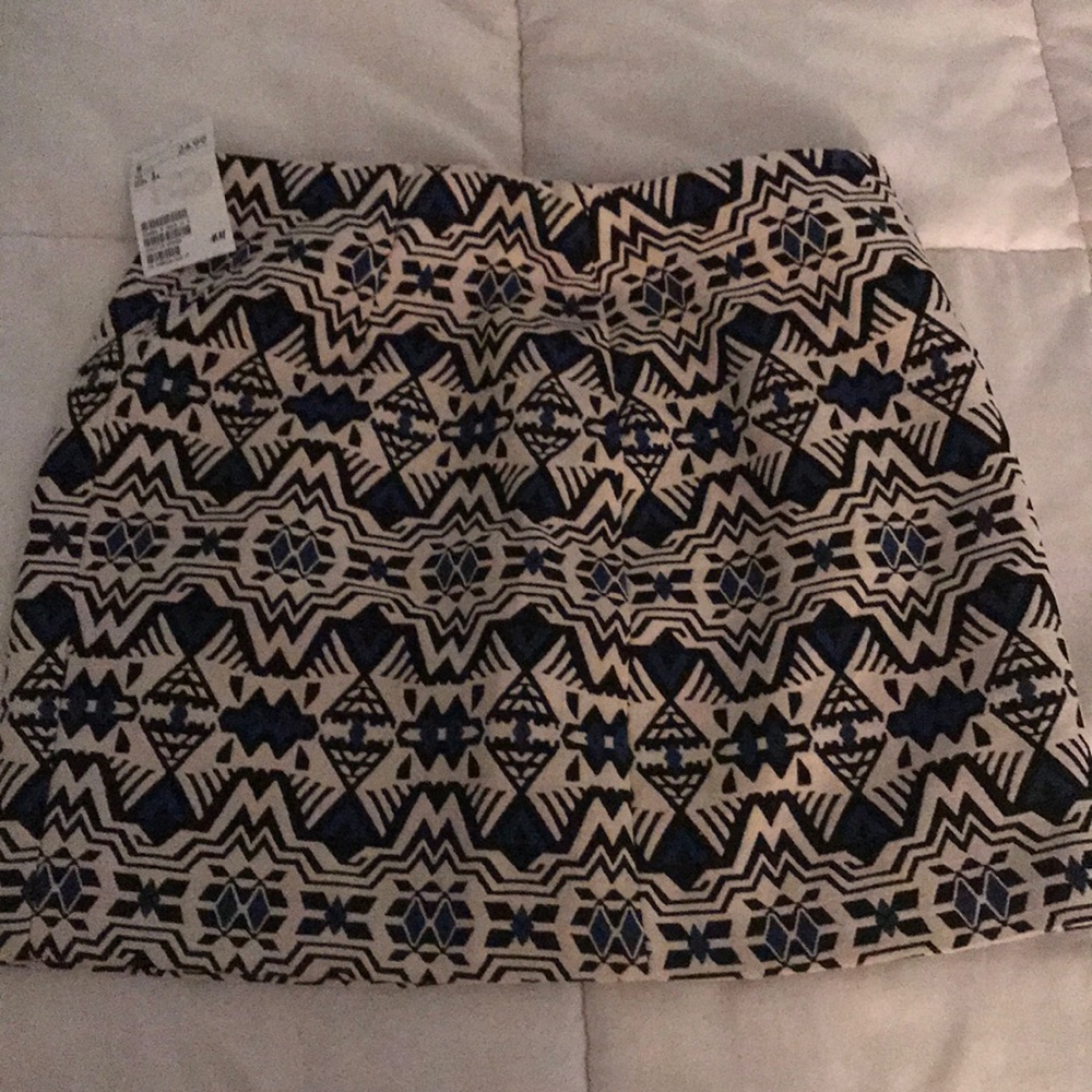 H&M skirt